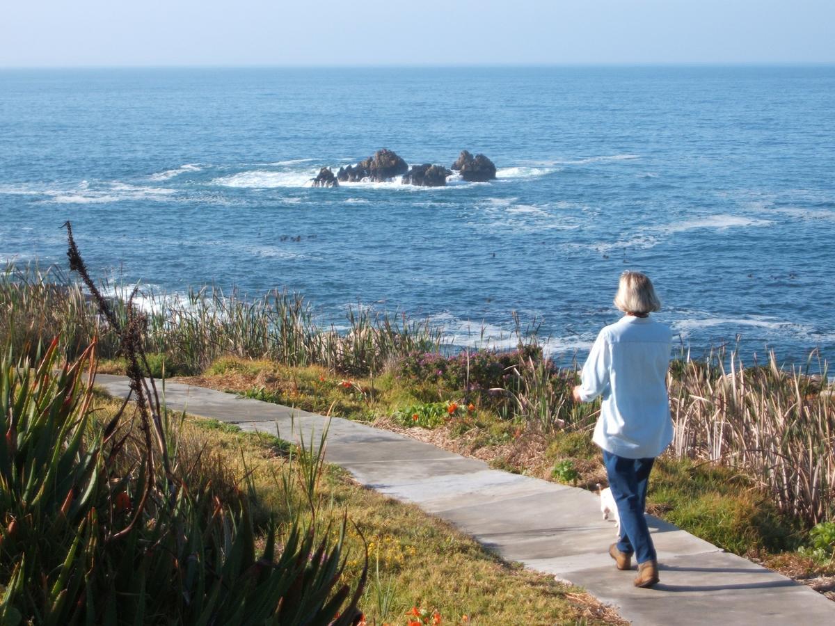 Smuts Ave. Guest Rooms Hermanus Eksteriør bilde